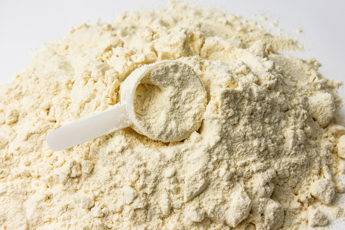 Whey vs Plant Protein Powder? 